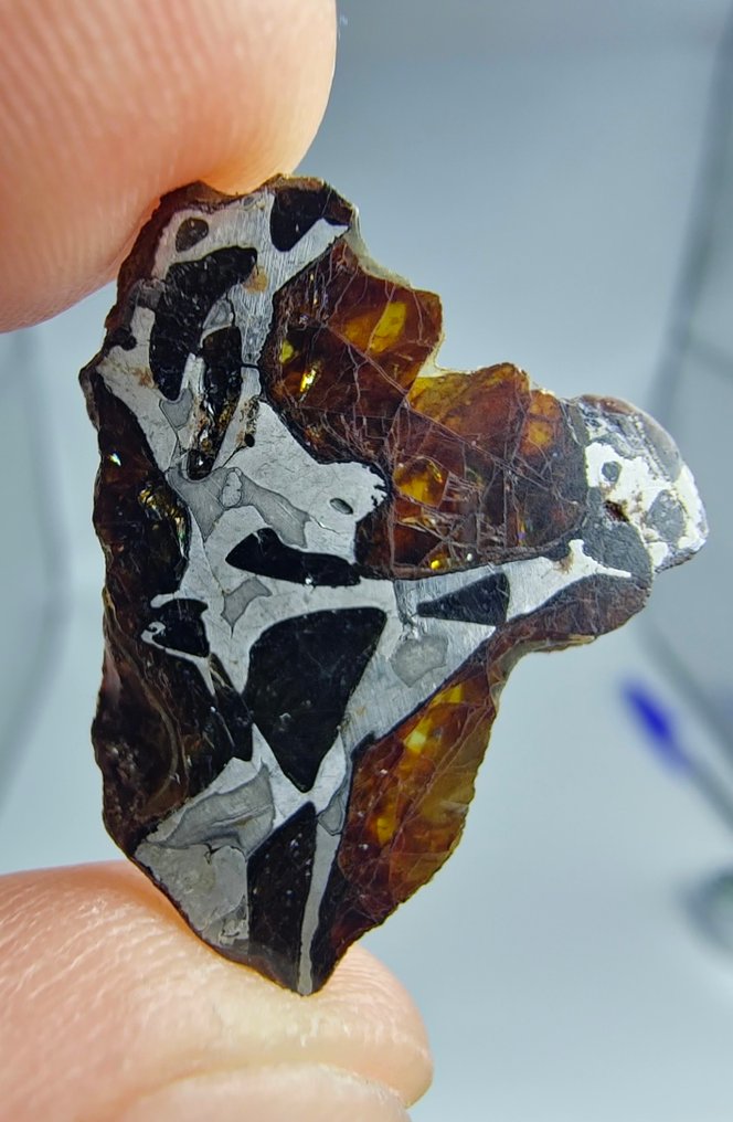 Pallasite 陨石，NWA 16774。 没有保留价。 - 2.17 g #1.0