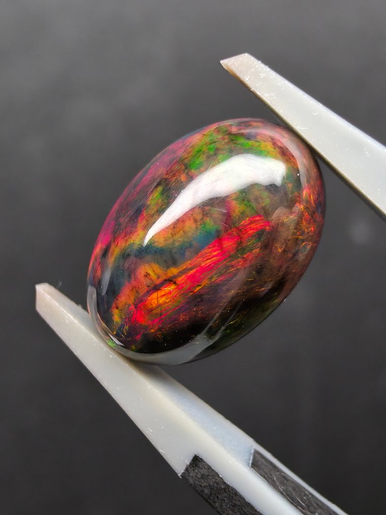 2,94 ct schwarzer Opal Cabochon - Höhe: 13.4 mm - Breite: 9.3 mm- 0.59 g #3.2