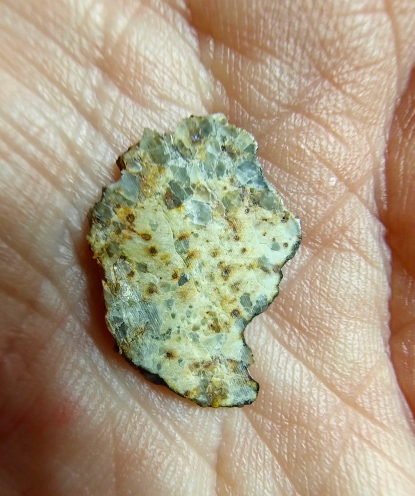 Ο μυστηριώδης ανεξάρτητη αχονδρίτης NWA 15915. Παράξενος μετεωρίτης, χωρίς ελάχιστη τιμή. - 0.67 g - (1) #4.3