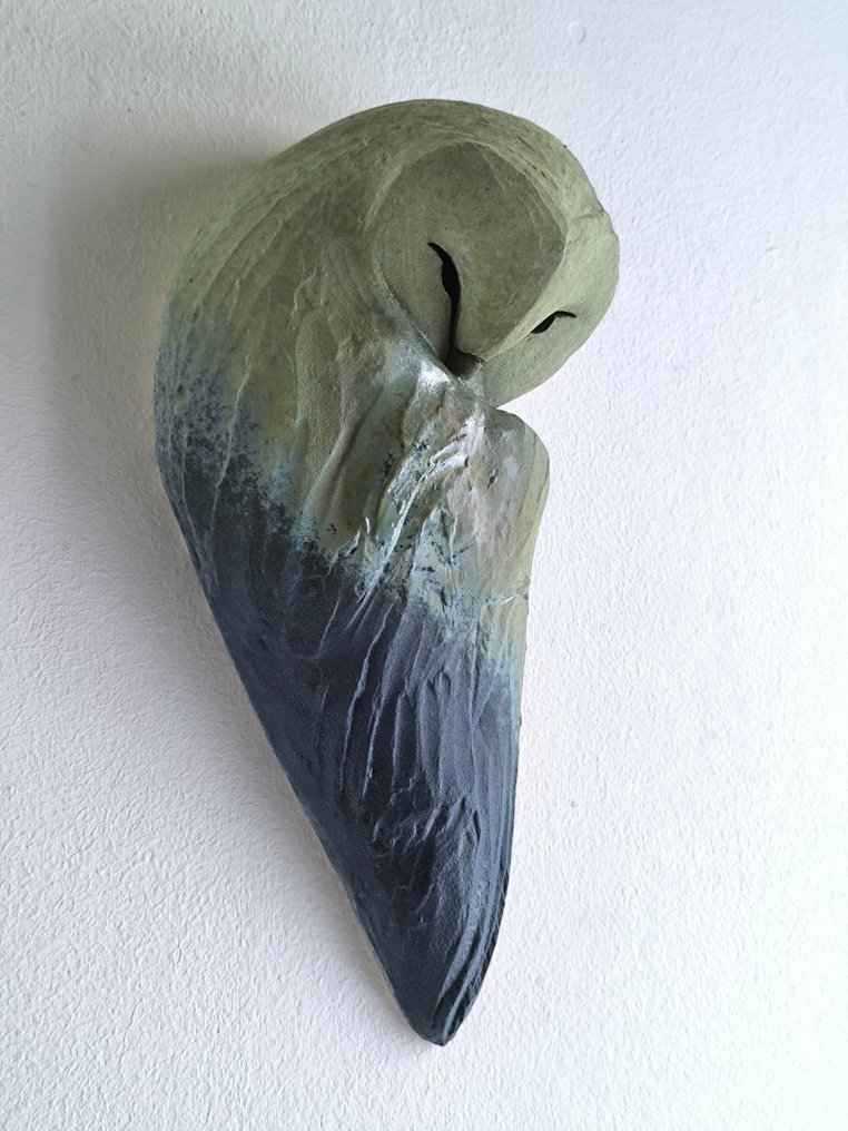 Federico Alibrio - Sleeping Barn Owl - Dream #1.0