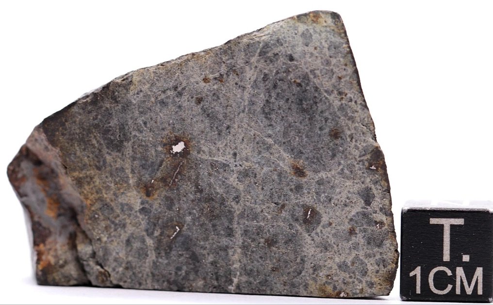 Μετεωρίτης NWA 17713 LL6 Breccia Μετεωρίτης χονδρίτης - 41.6 g - (1) #1.0