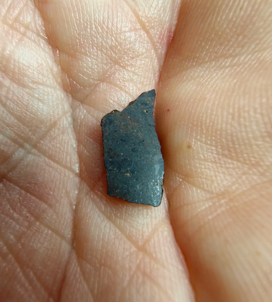 陨石深成岩Angrite，Rafsa 007。 非常罕见，无底价 - 0.33 g #4.3