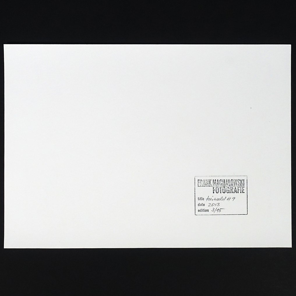 Frank Machalowski - tierwald#9 #2.1