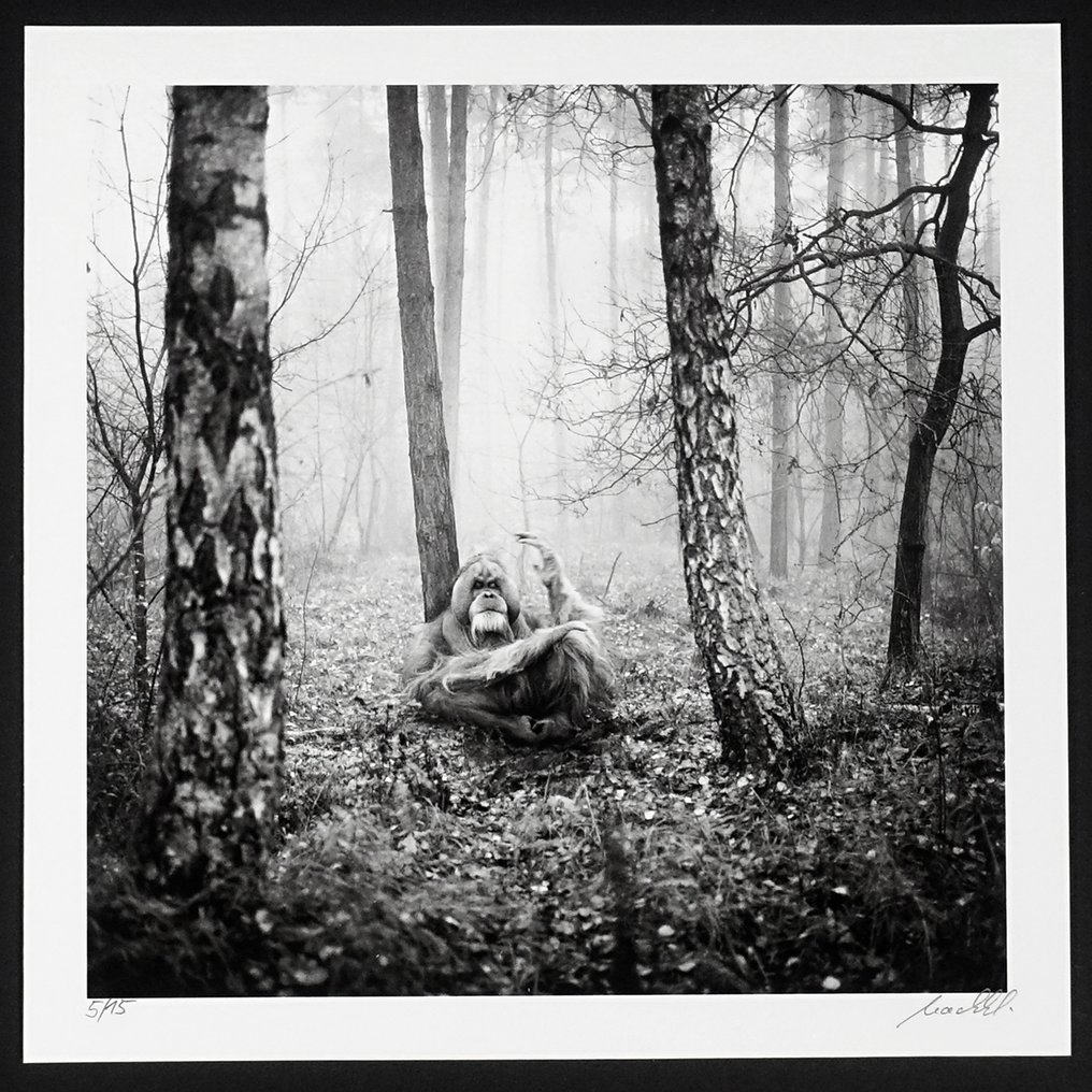 Frank Machalowski - tierwald#112 #1.0