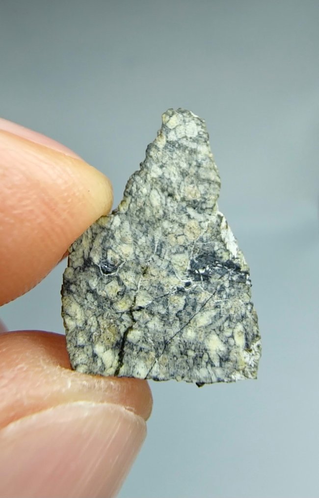 火星陨石（舍尔戈石，橄榄石含量丰富） NEA 053. - 0.73 g - (1) #1.0