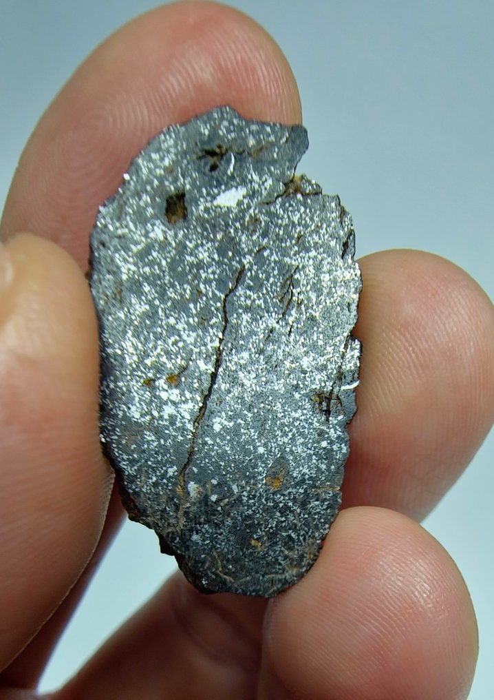 Μετεωρίτης mesosiderite. (NWA 18216) Χωρίς τιμή ελάχιστου αποθέματος. - 4.24 g - (1) #2.1