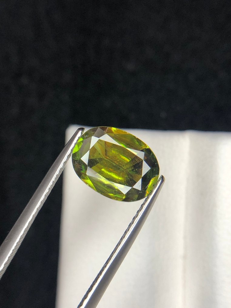 χωρίς τιμή ασφαλείας - 1 pcs  Πράσινο, Κίτρινο Τιτανίτης  - 2.04 ct - Διεθνής Ένωση Έγχρωμων Πολύτιμων Λίθων (ICA GemLab) - Φυσικό Σφένες #3.2