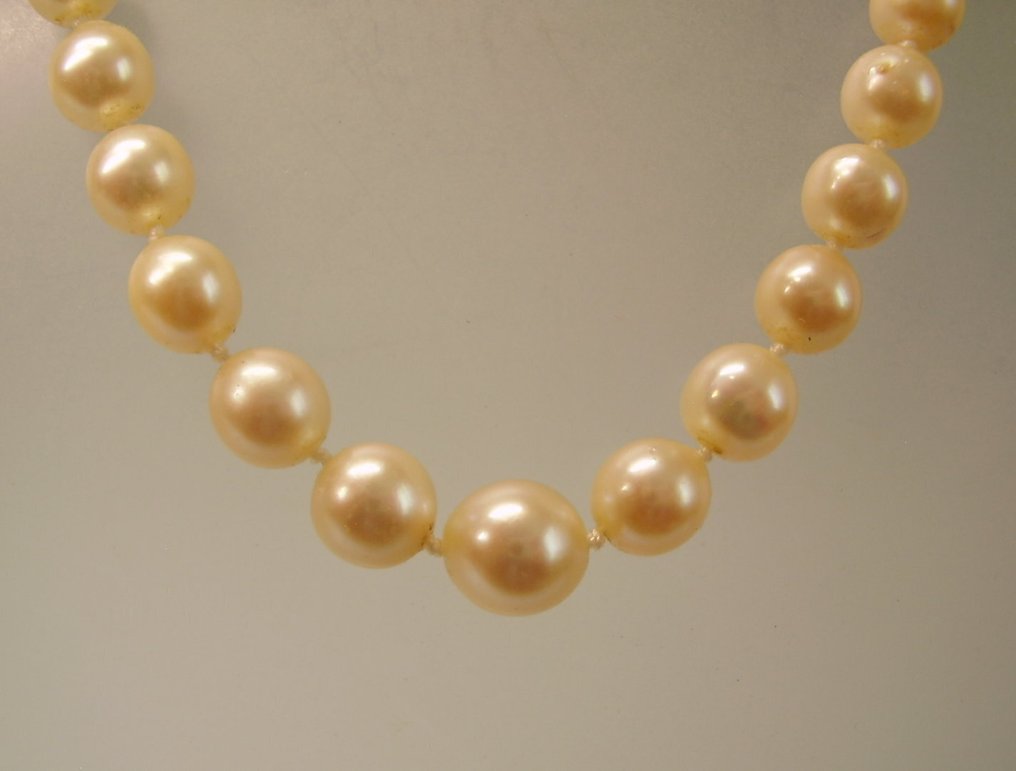 χωρίς τιμή ασφαλείας - Other brand - Κολιέ - 14 καράτια Λευκός χρυσός, Κίτρινο χρυσό -  125.00ct. tw. Μαργαριτάρι - Αλυσίδα με μαργαριτάρια Akoya για γάμο. #4.3