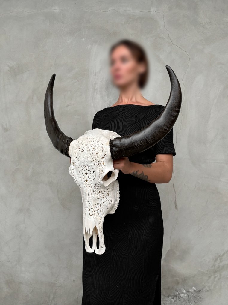 无底价 - C - 大型正品手工雕刻白水牛头骨 - 小莲花图案 雕刻的颅骨 - Bubalus Bubalis - 77 cm - 67 cm - 19 cm- 非《濒危物种公约》物种 -  (1) #2.1