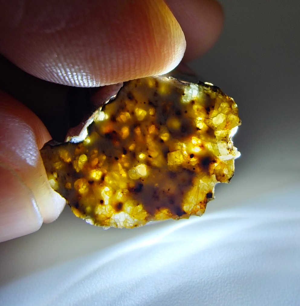 Ο μυστηριώδης ανεξάρτητη αχονδρίτης NWA 15915. Παράξενος μετεωρίτης, χωρίς ελάχιστη τιμή. - 0.67 g - (1) #1.0