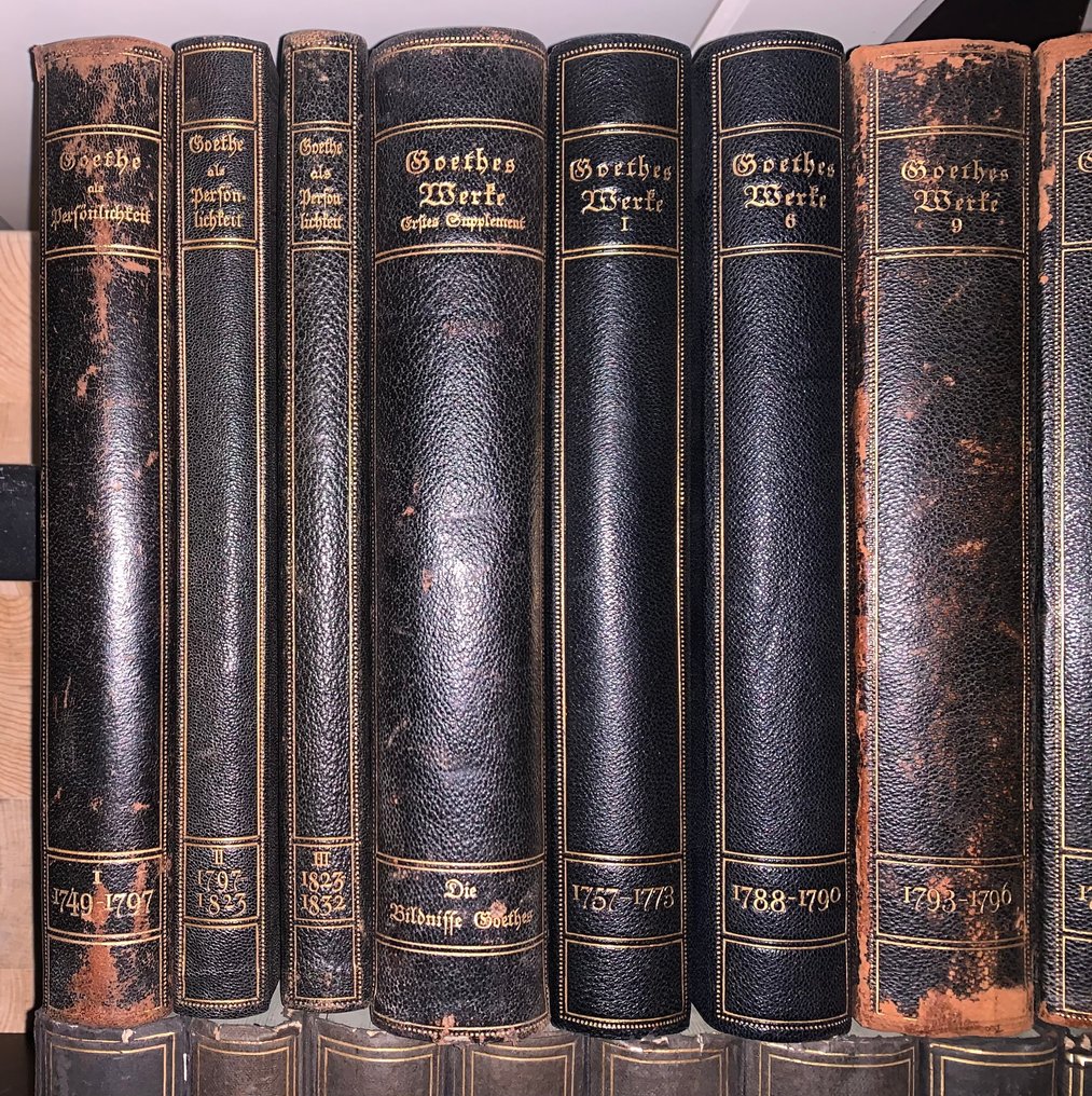 Kurt Noch, Conrad Höfer - Goethes Sämtliche Werke Propyläen-Ausgabe Band 1 - 45 incl. Ergänzungsbände - 1909 #3.2