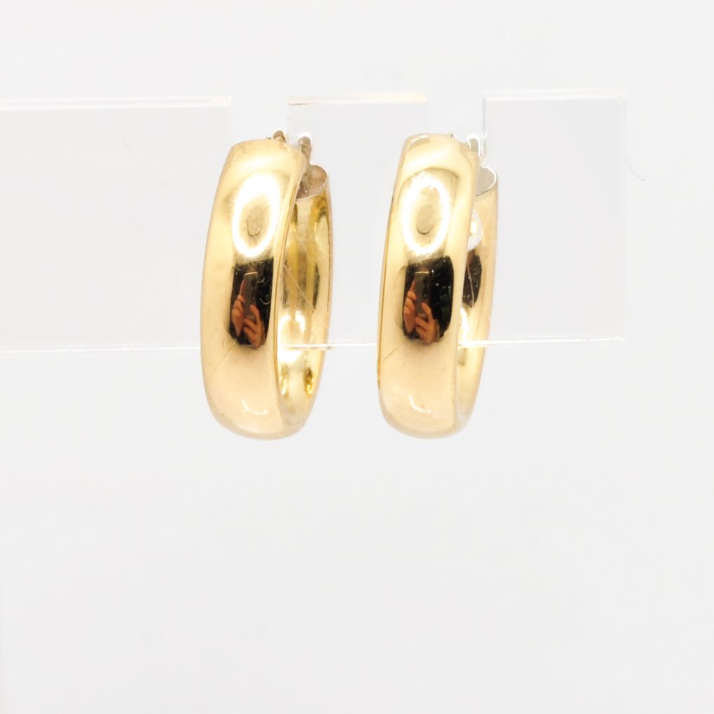 Øreringe - 18 kraat Gulguld #1.0