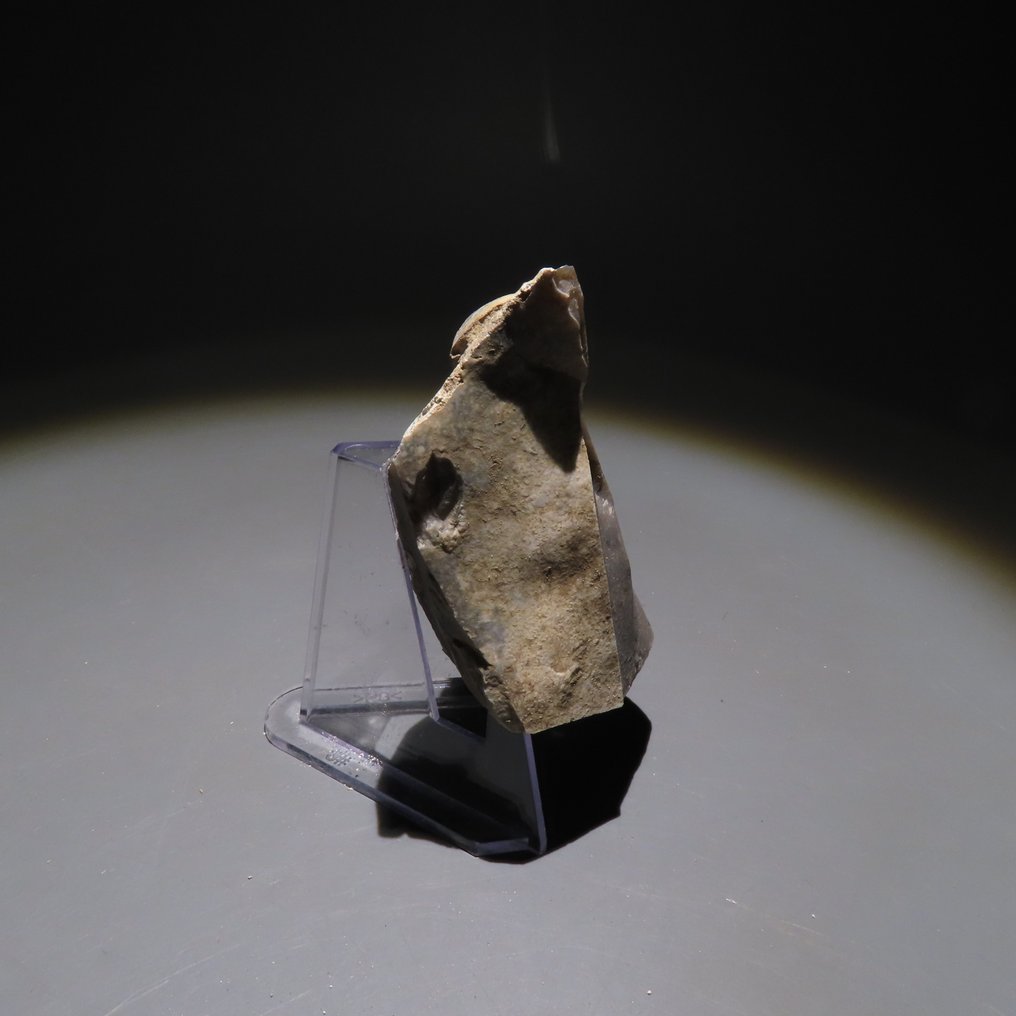 新石器时代 燧石 工具。斯皮恩，公元前4500-3500年。6.4厘米高。西班牙进口许可证。  (没有保留价) #2.1