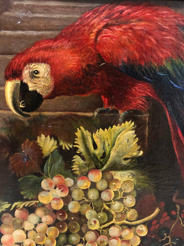 École Européene (XIX-XX), D'après Justus van Huysum - Nature Morte avec Perroquet #3.2