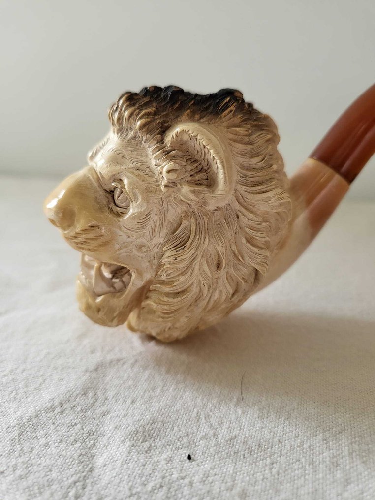 Pipe sculptée en forme de tête de lion - No Reserve Price - Meerschaum pipe - sea foam #2.1
