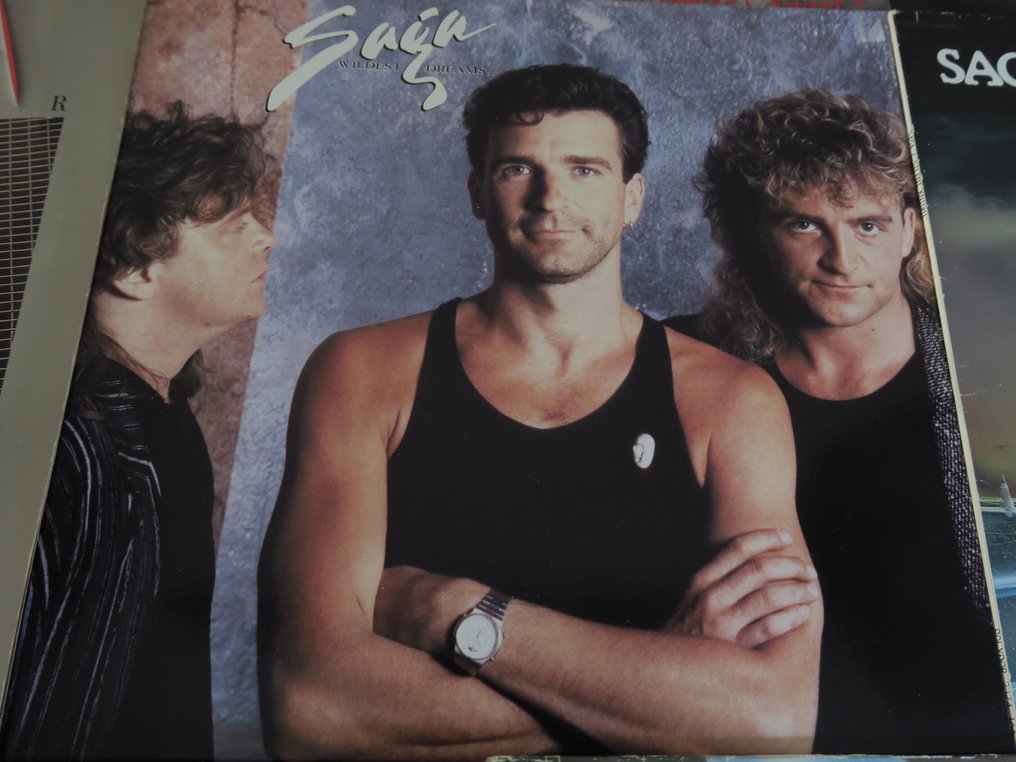 Various Artists/Bands in Prog & Symfo Rock - Artisti vari - Nice lot with the first 8 albums of great AOR Band: Saga - Titoli vari - Album 2 x LP (album doppio) - 1978 #4.3