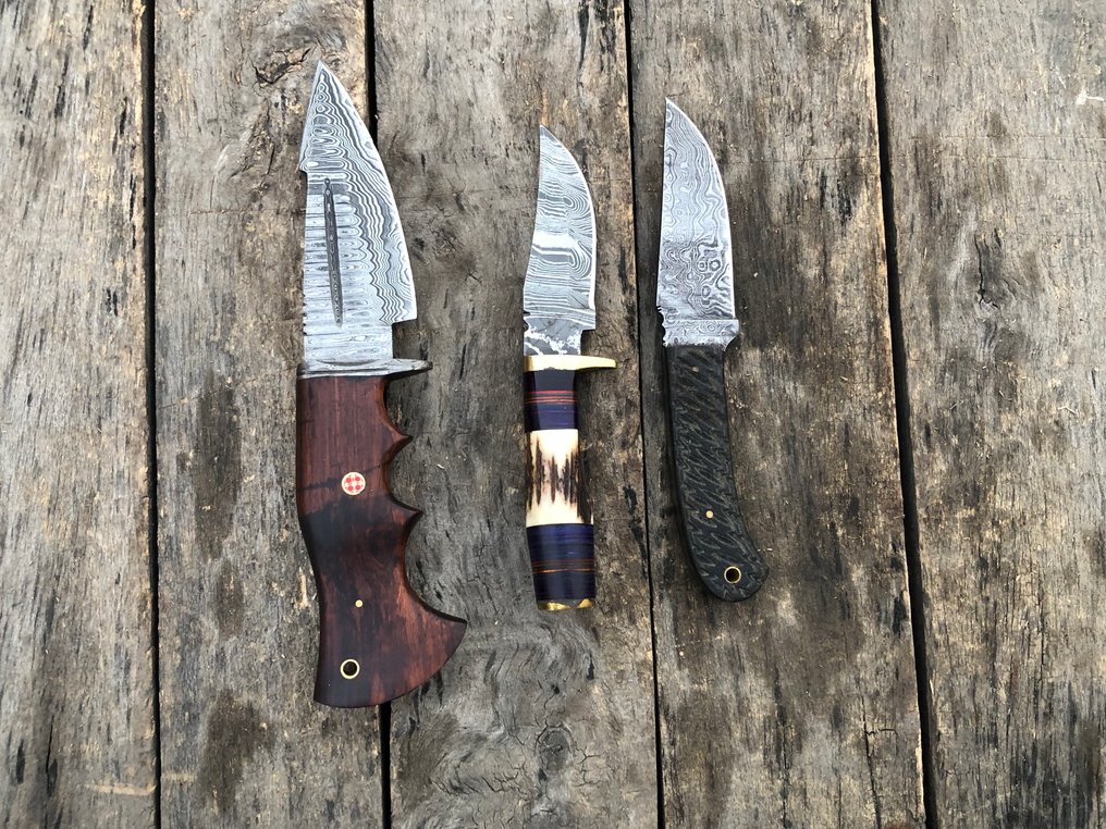 Coltello da cucina - Coltelli Prestigiosi fatti a mano Skinners, acciaio forgiato, corno di cervo, legno e impugnature - Nord America - Custodia in pelle TD26 #1.0