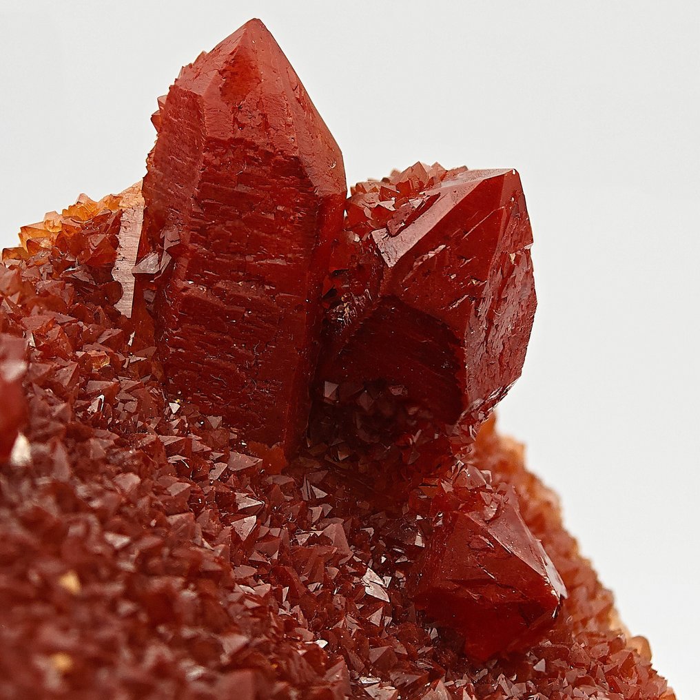 Large cactus, blood-red hematite quartz, elegant Crystals on matrix - Height: 110 mm - Width: 76 mm- 524 g #3.2