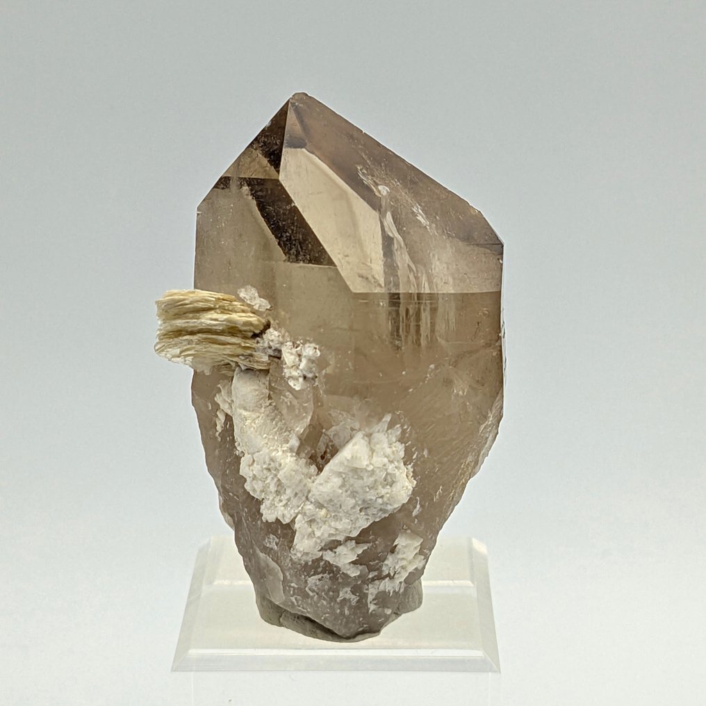 Smoky quartz with muscovite mica, Brazil Crystals on matrix - Height: 69 mm - Width: 40 mm- 96 g #1.0
