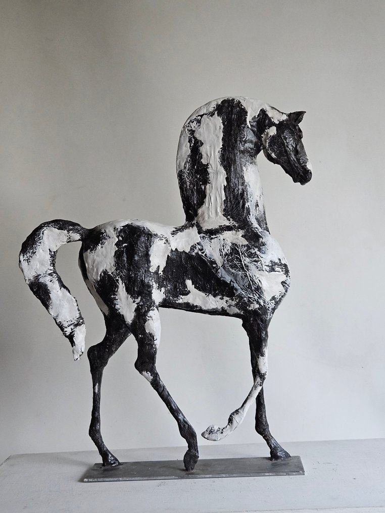 Raghad - L'Équilibre du Contraste #1.0