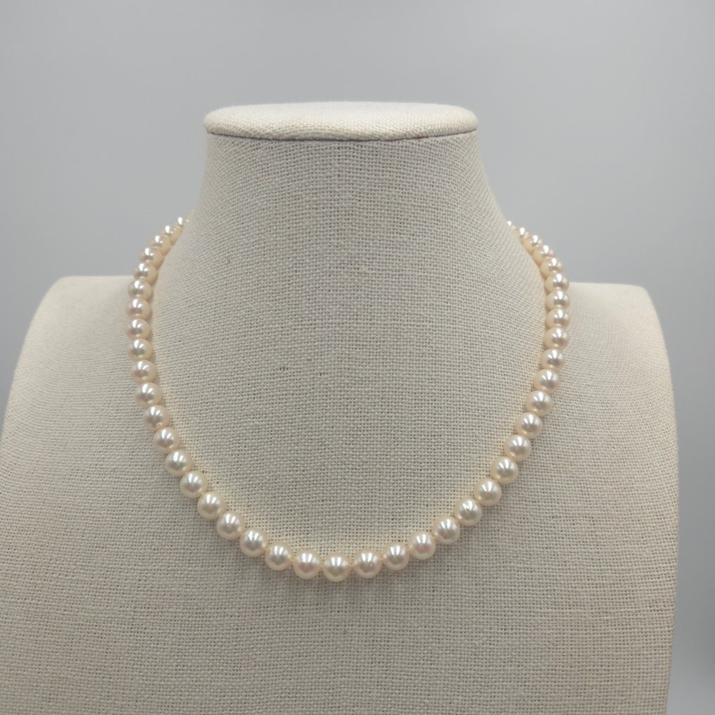 Senza Prezzo di Riserva - Collana Argento Perla - Akoya 7,5 mm 17,5 pollici PSL #3.2