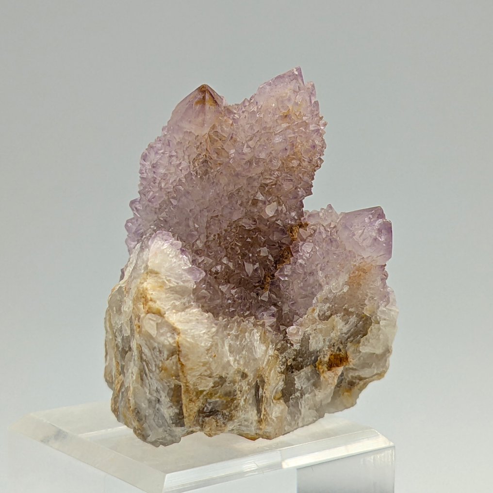 Ametista cactus, 100+ purple crystals, elegant Crystals on matrix - Height: 55 mm - Width: 42 mm- 84 g #2.1