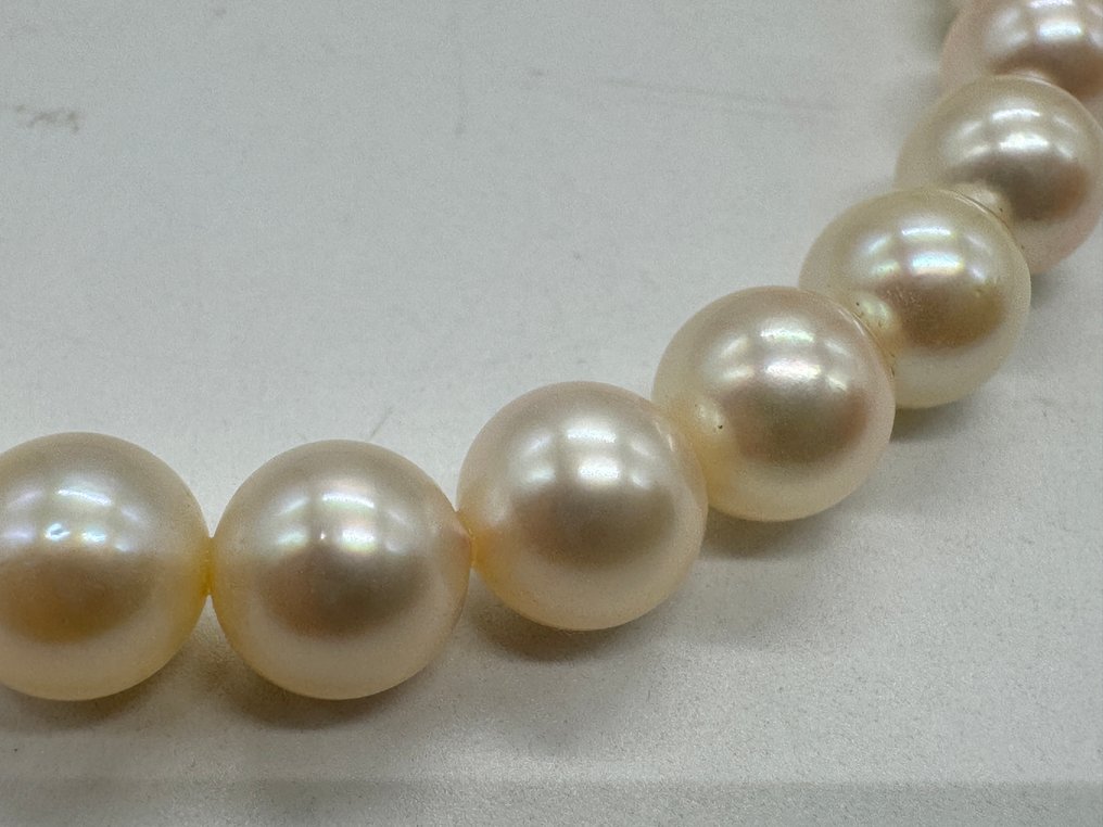 Senza prezzo di riserva - Collana Argento Perla - Perla #1.0