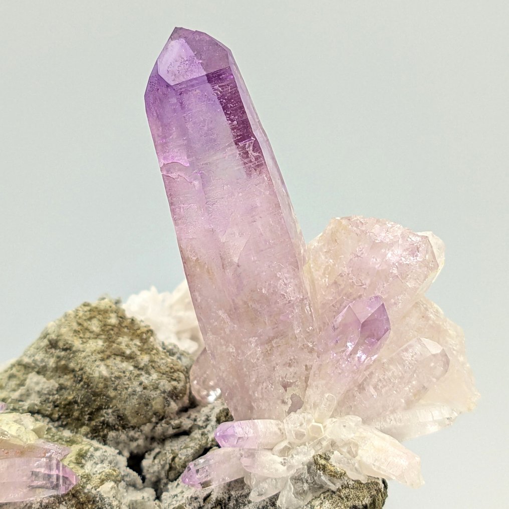 Fiore di AMETISTA VIOLA, Estetico, MESSICO Cristalli - Altezza: 95 mm - Larghezza: 75 mm- 151 g #1.0