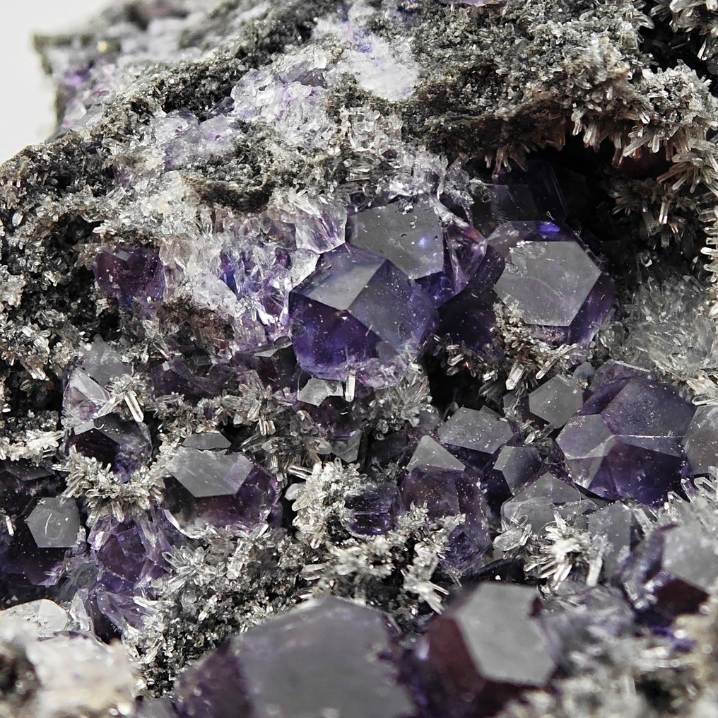 Fluorite, tanzanite, blue/violet, cuboctahedra on quartz, elegant. Crystals on matrix - Height: 104 mm - Width: 92 mm- 472 g #2.1