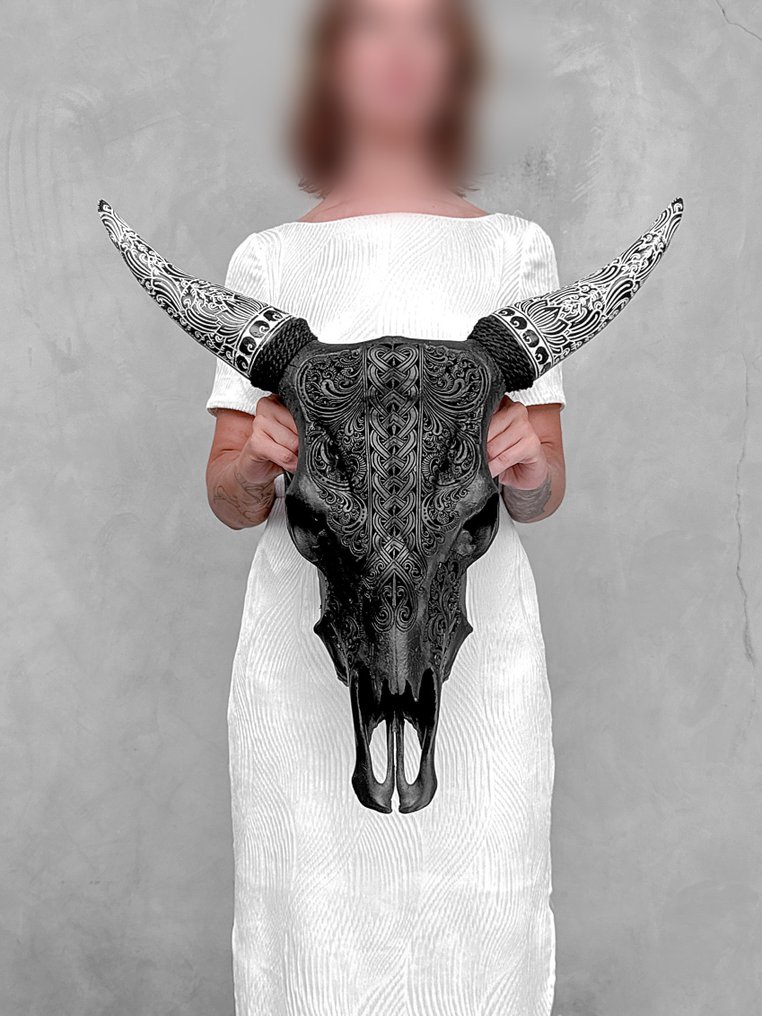 Sem preço de reserva - Caveira de vaca negra esculpida impressionante com chifres esculpidos boêmios Crânio esculpido - Bos Taurus - 61 cm - 60 cm - 17 cm- Espéciesnão-CITES -  (1) #2.1