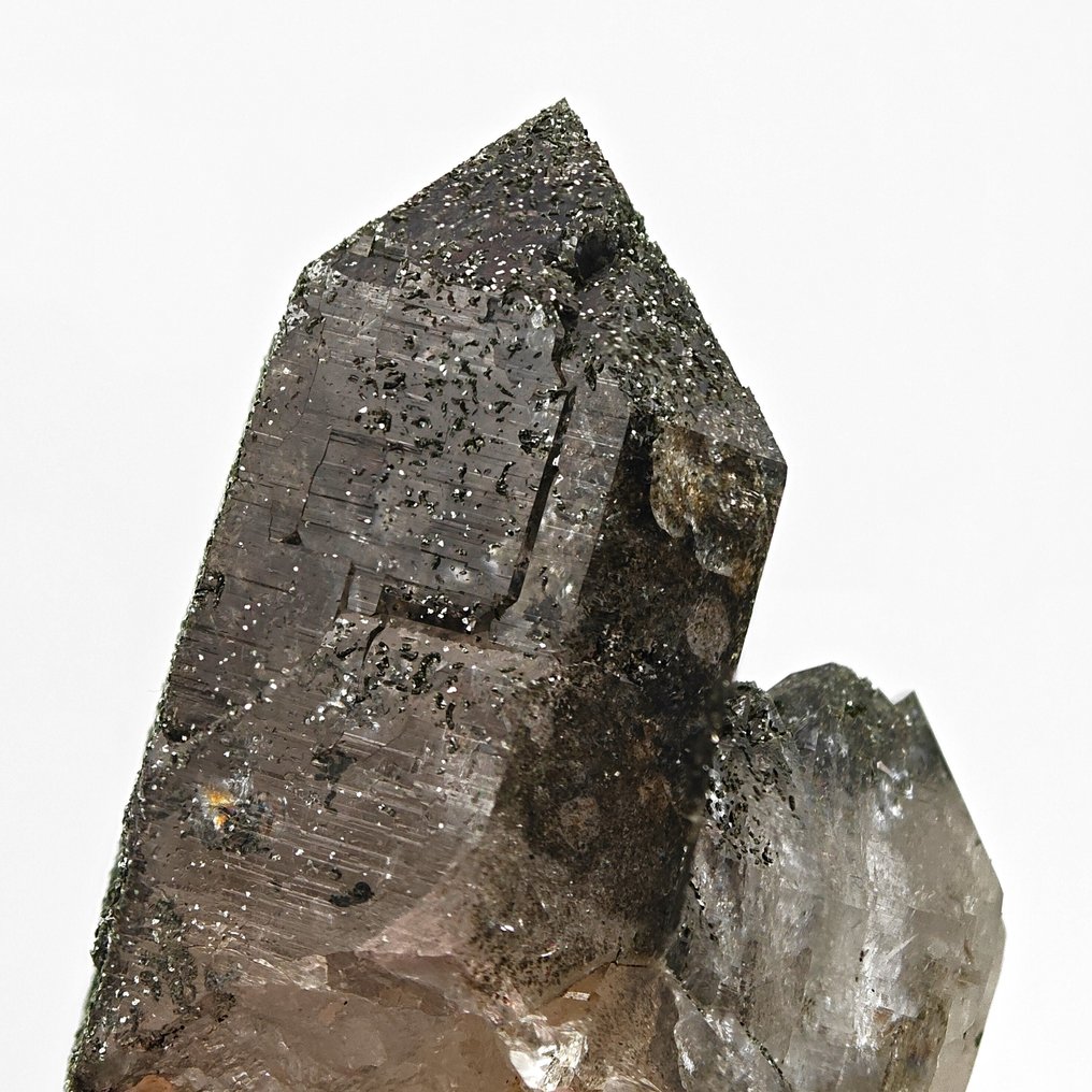 阿尔卑斯石英覆盖着绿叶辉石，瑞士 水晶矩晶体 - 高度: 73 mm - 宽度: 55 mm- 155 g #1.0