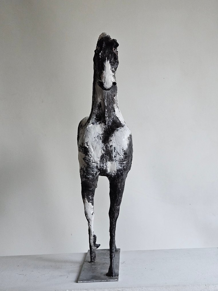 Raghad - L'Équilibre du Contraste #3.2