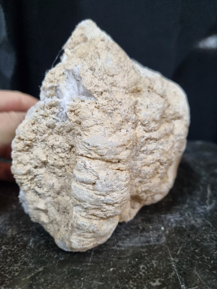 Cuarț Geode de cuarț mare HQ - Înălțime: 140 mm - Lățime: 122 mm- 1480 g #4.3