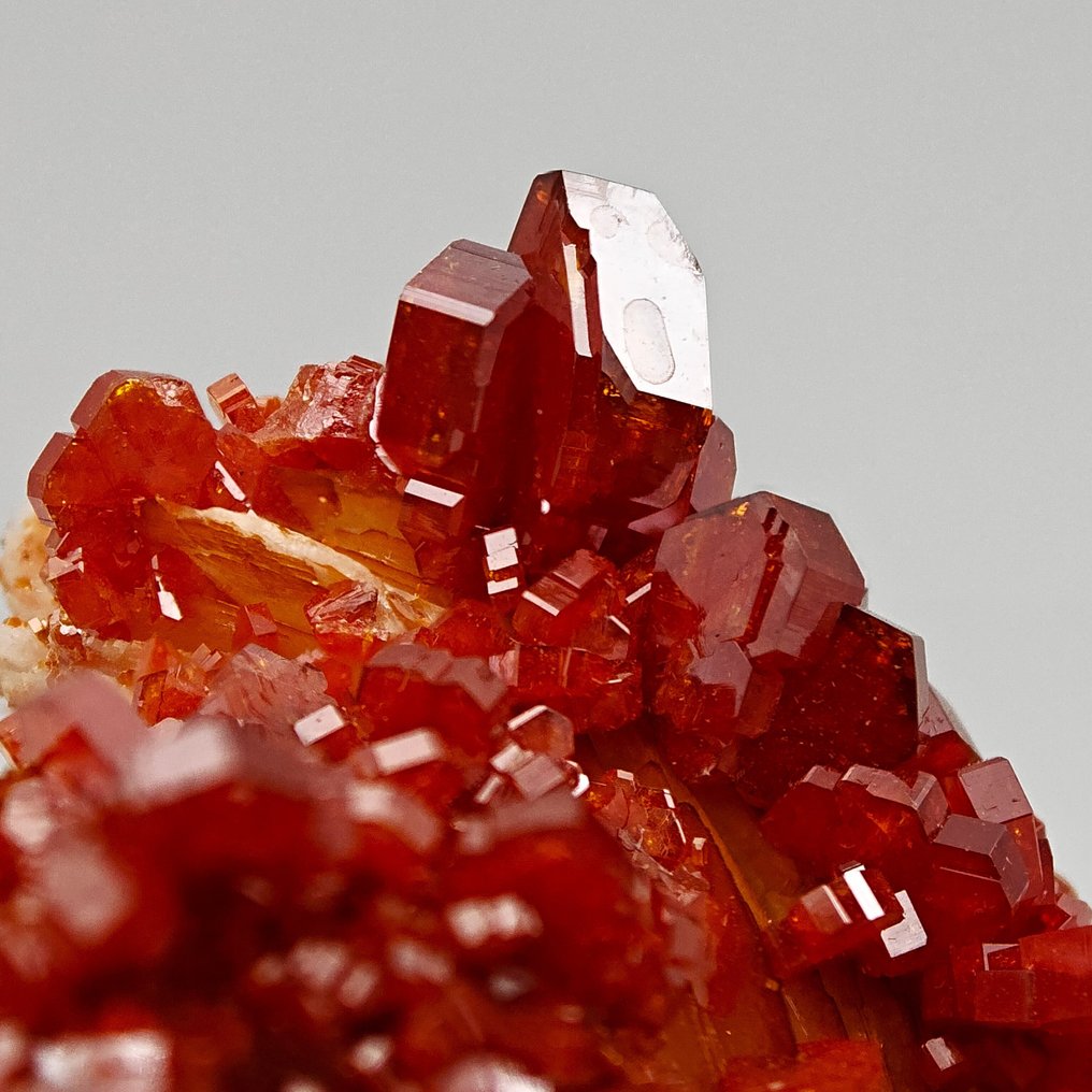 Vörös vér vanadinit vihar a sárga barit felett Kristálymátrix - Magasság: 74 mm - Szélesség: 47 mm- 87 g #4.3