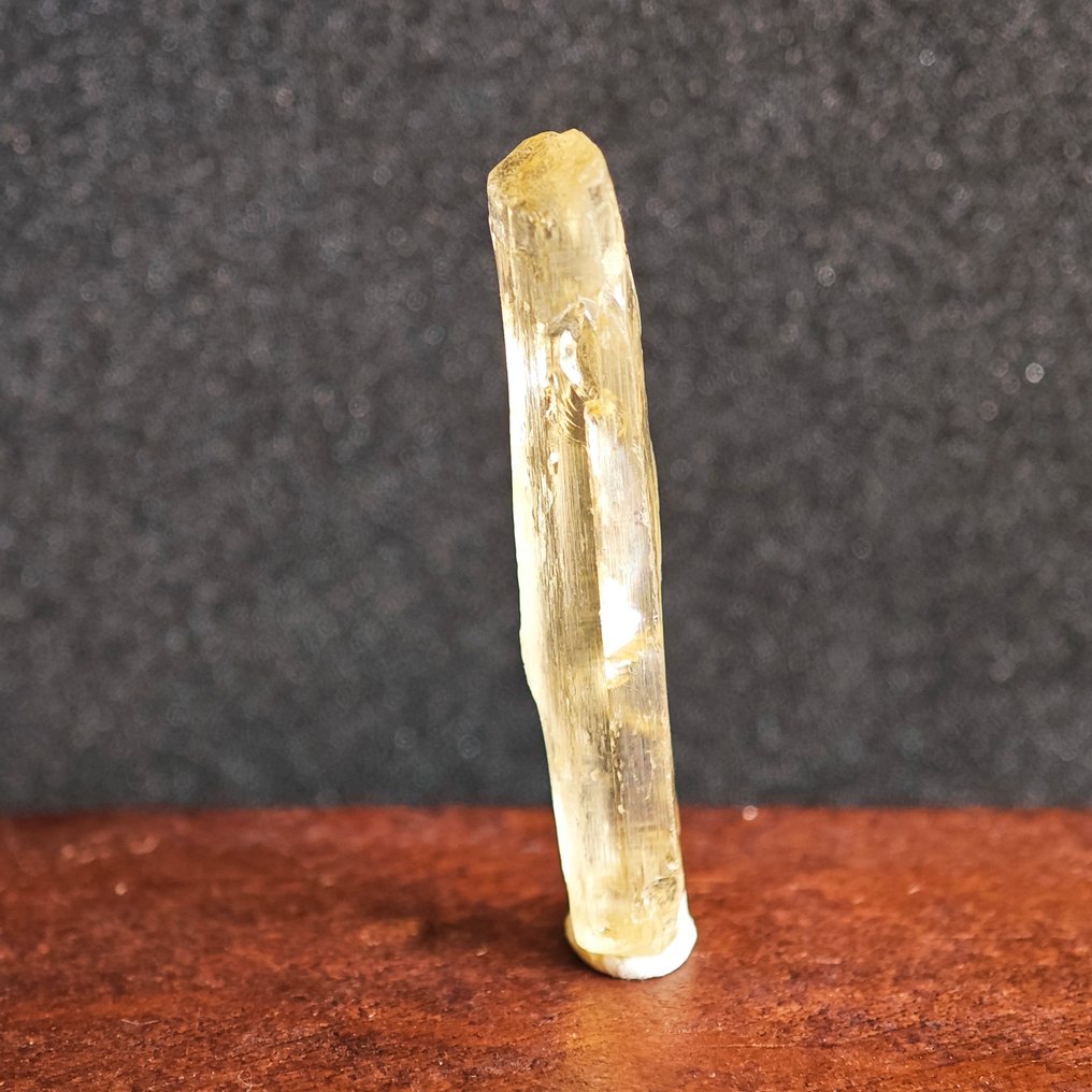 7.31 克拉 乌克兰黄水晶- 1.46 g #4.3