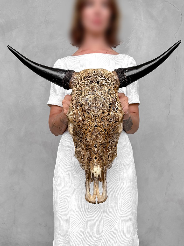 NO RESERVE PRICE - Large Brown Carved Bull Skull - Flower Mandala motif- Carved skull - Bos Taurus - 57 cm - 61 cm - 18 cm- Non-CITES species - (1) #4.3