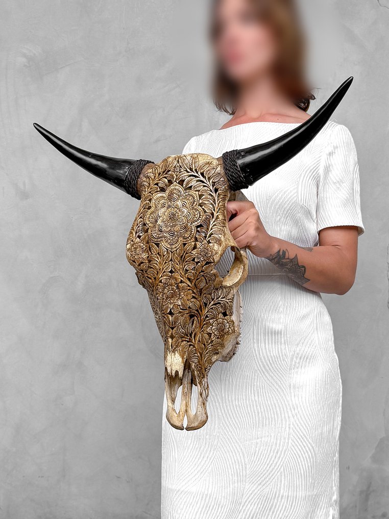 NO RESERVE PRICE - Large Brown Carved Bull Skull - Flower Mandala motif- Carved skull - Bos Taurus - 57 cm - 61 cm - 18 cm- Non-CITES species - (1) #2.1