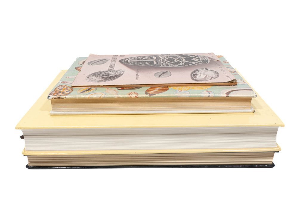 Dr. Maria Schilder / Joyce Allan / Felix Lorenz Jr., Alex Hubert / C.M. Burgess - Buchbundle: Die Kaurischnecke / Cowry Shells of World Seas / A Guide to Worldwide Cowries / Burgess' - 1952-1993 #4.3