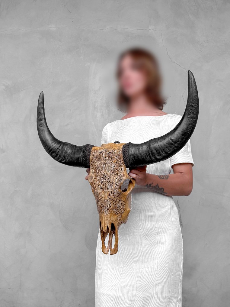 Keine Mindestreserve - Echoter, großer, brauner, geschnitzter Büffelschädel - kleines Lotus-Motiv. Geschnitzter Schädel - Bubalus Bubalis - 62 cm - 64 cm - 16 cm- Nicht-CITES-Arten - (1) #2.1