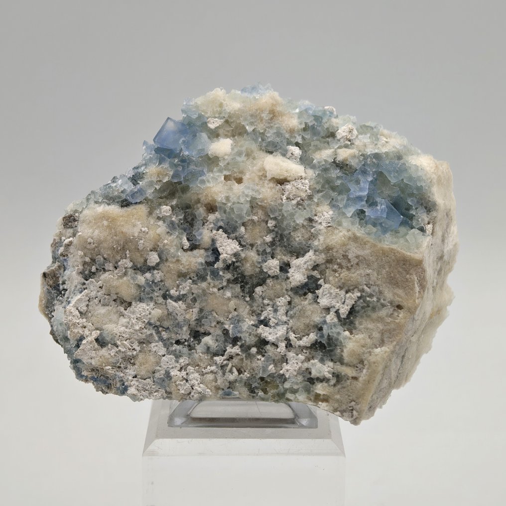 Τετράγωνη φθορίτης azzurra, Ηνωμένες Πολιτείες, σπάνια Κρύσταλλοι στη μήτρα - Ύψος: 86 mm - Πλάτος: 61 mm- 191 g #1.0