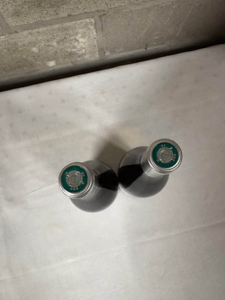 2021 Jean Marc Vincent "Les Vignes Denses" - Santenay - 2 Butelki (0,75l) #2.1