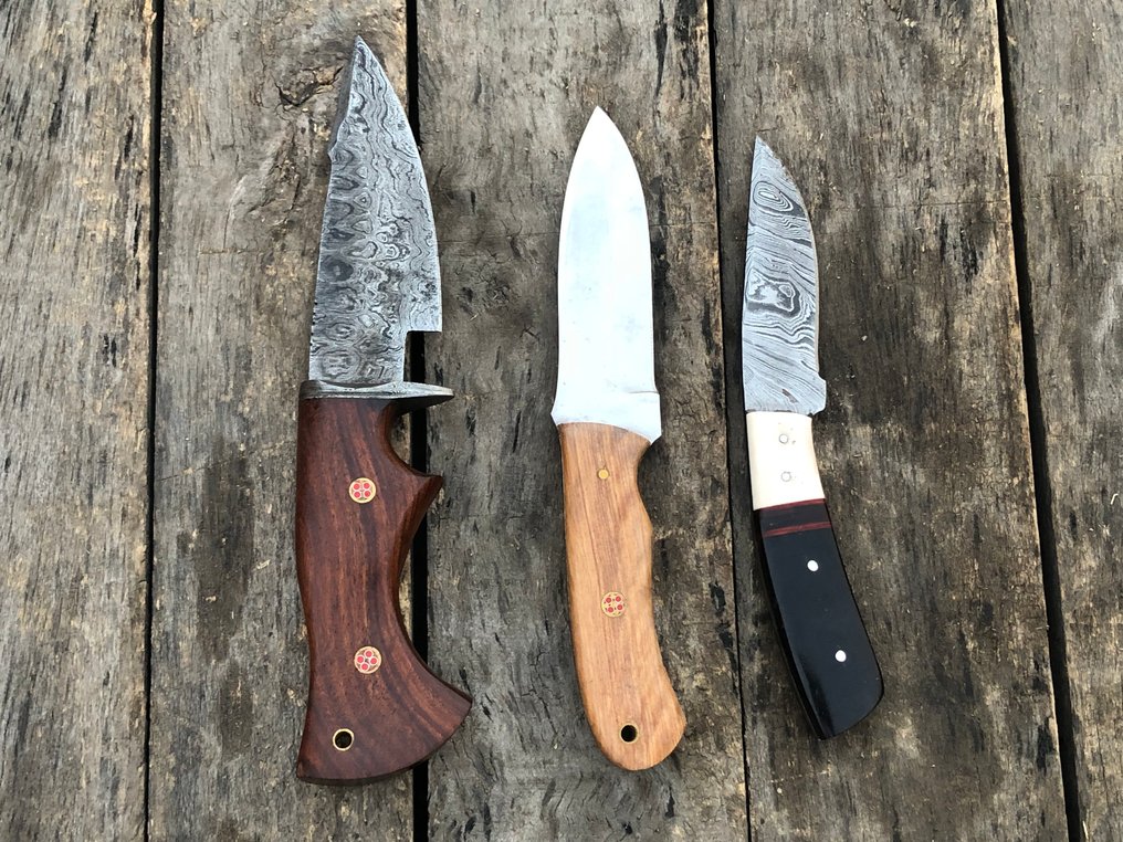 厨刀 - 尊贵的手工剥皮刀，多层锻钢刀身，木质和珍稀刀柄 - 北美 - 皮革鞘 TD24 #2.1