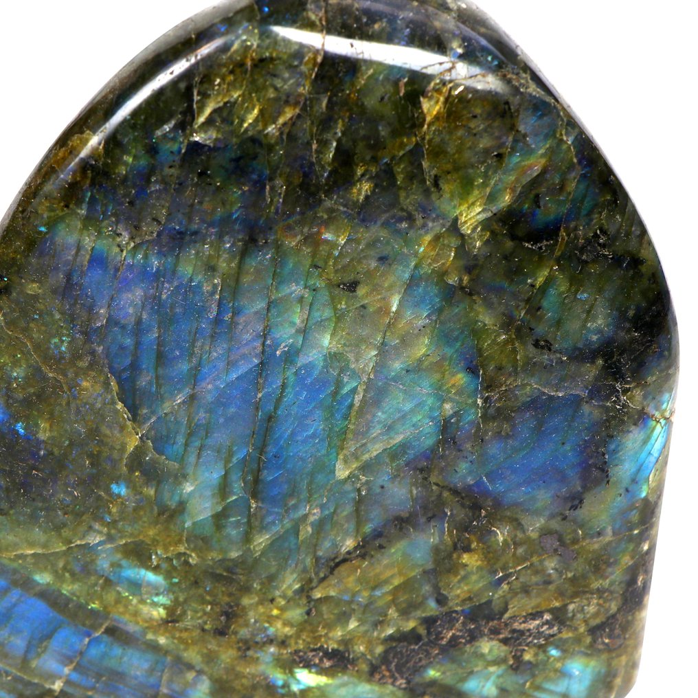 Qualità superiore - Flash arcobaleno vivido - Labradorite Forma libera- 1.7 kg #2.1