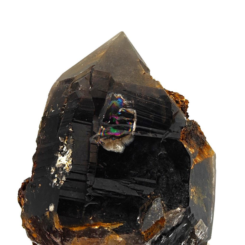 黑色莫里昂石配有彩虹灵魂，马拉维 水晶矩晶体 - 高度: 54 mm - 宽度: 40 mm- 71 g #1.0