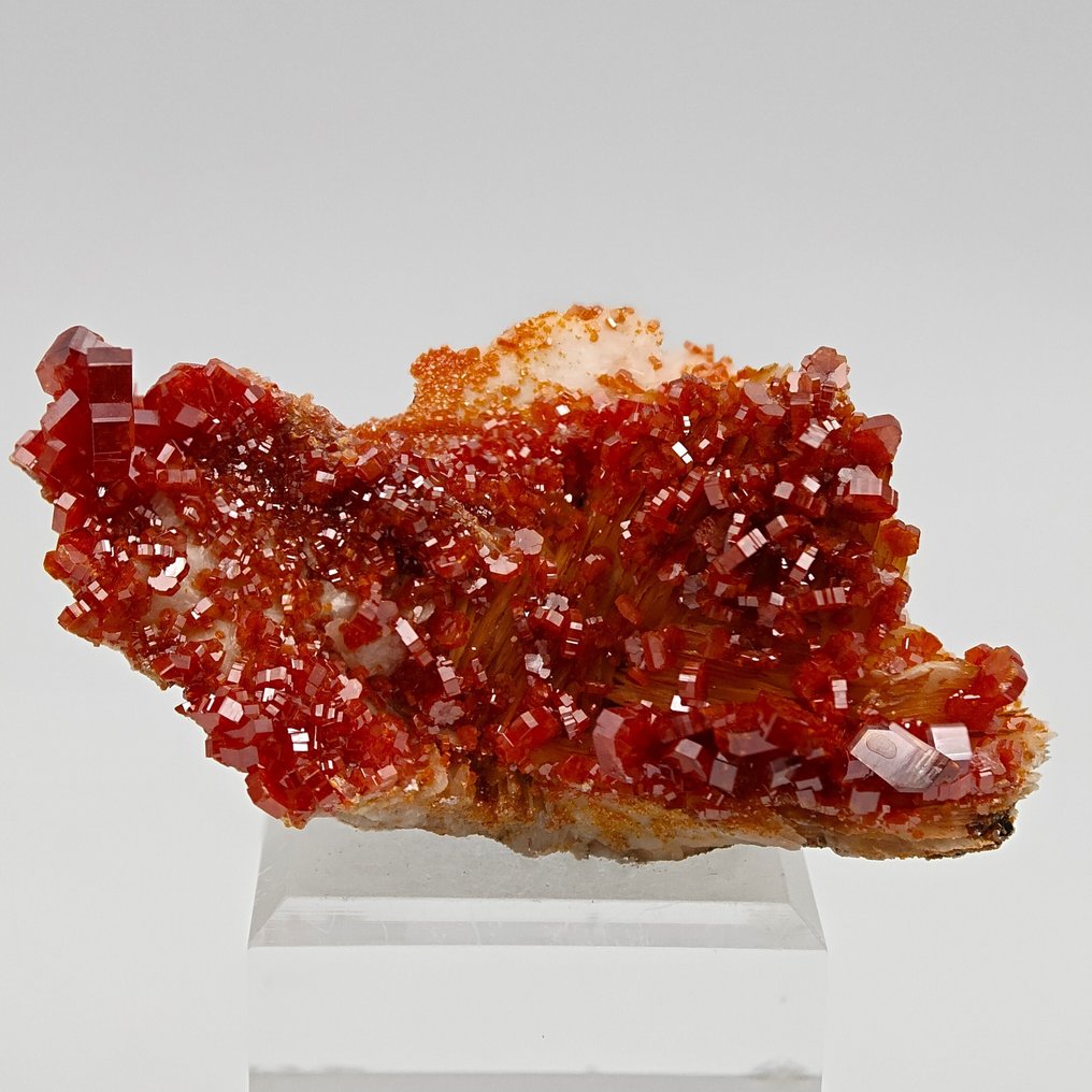 Vörös vér vanadinit vihar a sárga barit felett Kristálymátrix - Magasság: 74 mm - Szélesség: 47 mm- 87 g #1.0