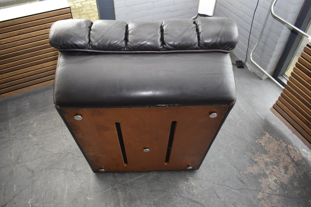 de Sede - Ueli Berger - Πολυθρόνα - DS 85 - Δέρμα #4.3