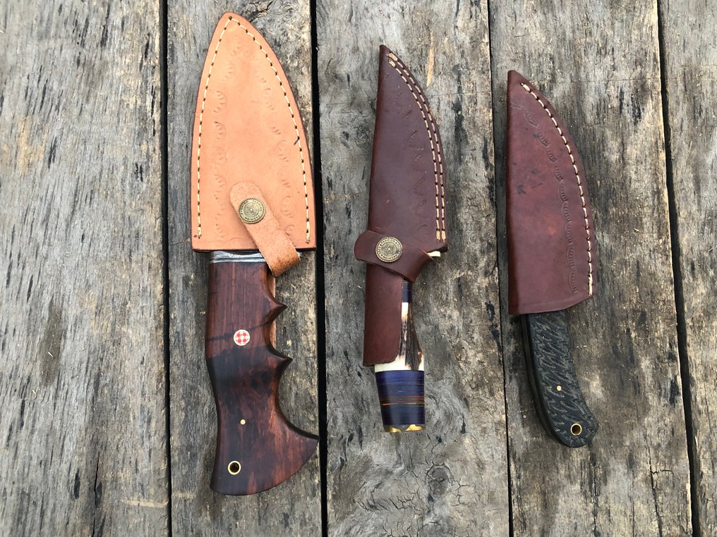 Coltello da cucina - Coltelli Prestigiosi fatti a mano Skinners, acciaio forgiato, corno di cervo, legno e impugnature - Nord America - Custodia in pelle TD26 #2.1