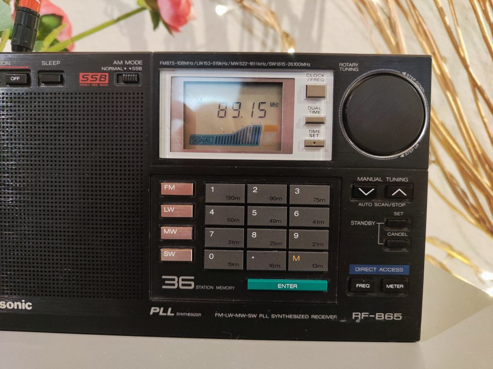 Panasonic - RF B65D Weltempfänger #1.0