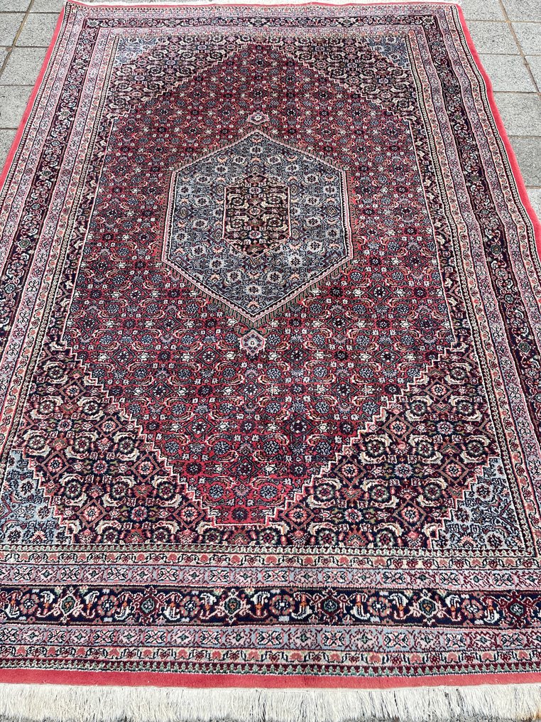 Fine Indo Design - hand-knotted - wool - India - fine hand-knotted - Carpet - 295 cm - 202 cm #1.0