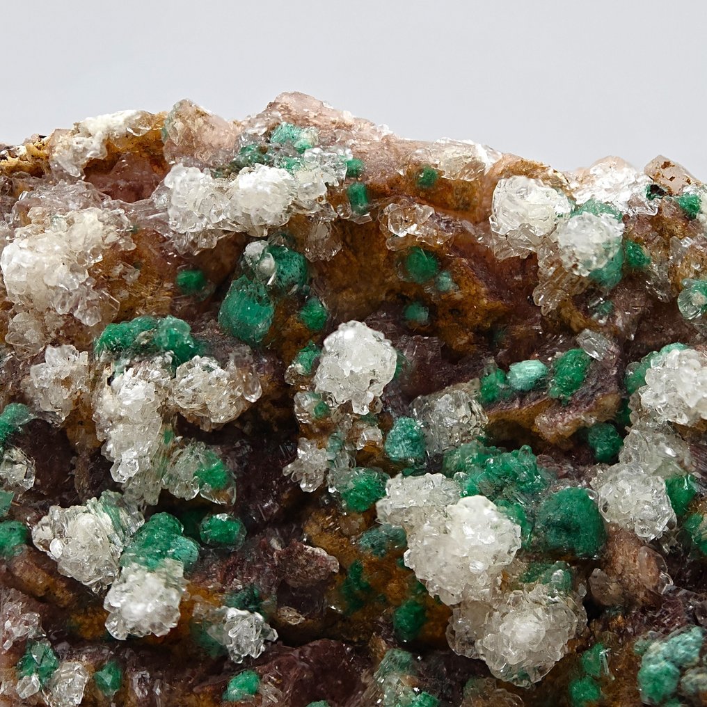 Malachite trapped in plaster and dolomite, Morocco. Crystals on matrix - Height: 90 mm - Width: 71 mm- 218 g #1.0